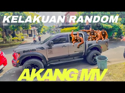 NGAKAK CIK 😂 AKANG MV BAWA ROMBONGAN SATWA LIAR.