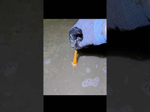잡아 당기면 꿈틀꿈틀?! 징그러워 #shorts