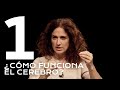 Understanding Neurons and Brain Communication