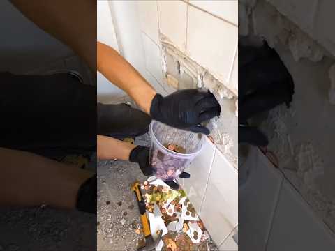 Rumah tua yang di belinya ternyata tersimpan harta karun #shortvideo #shortsvideo #gold