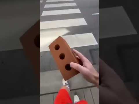 Такого пешехода грех не пропустить!