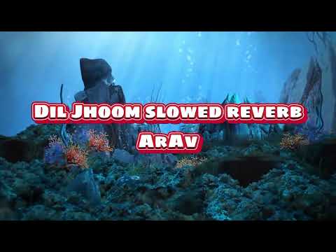 Dil Jhoom slowed reverb || T series song || New || Slowed Reverb ||