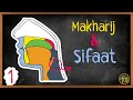 Understanding Maharaj and Suite in Tajweed