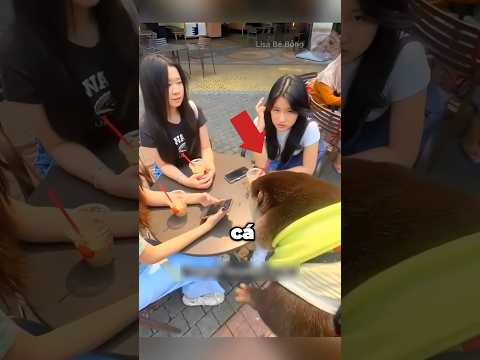 ❗️Anh Chàng Gửi Chú Dái Cá Cho Các Cô Gái Coi Và Cái Kết #shorts