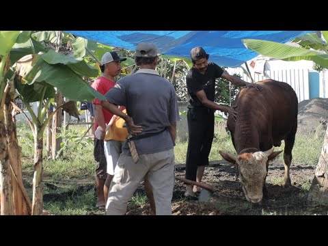 Semoga berkah dan bermanfaat