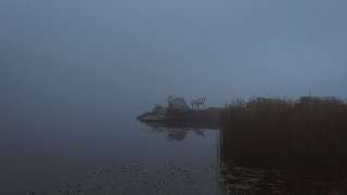 Bluu - Remember (Ambient)