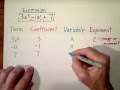 Exploring Key Vocabulary in Algebraic Expressions