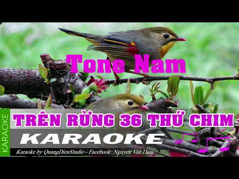 Trên rừng 36 thứ chim karaoke | NVD