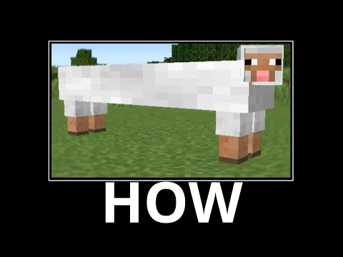 WAIT WHAT (Minecraft) #24