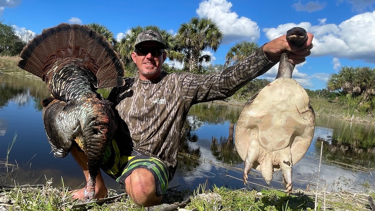 Fresh Water Turtle and Turkey, a Southern Delicacy Catch & Cook - Bluegabe