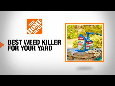 Best Weed Killer for Your Yard