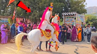 घोड़ी और डीजे का तांडव - Thari Kamar Ko Pasino Perfume Ban Gyo !! Ghodi Dance Video !! Perfume Lagve