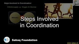 Steps Involved in Coordination