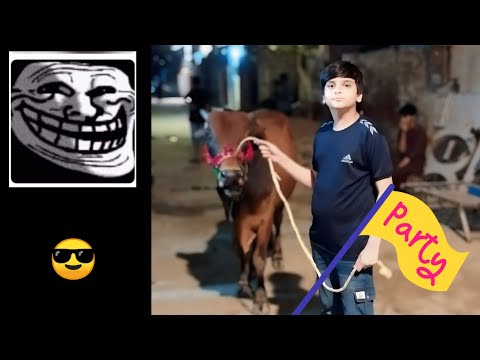 quick question 2025 COW Which time cow here This home islamic😑B 😎M😏