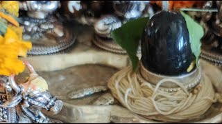 श्रावण मास विशेष द्रव्य रुद्राभिषेक || Astro Trishla || LIVE  || सारथी || LIVE