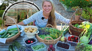 Harvesting Abundance 🌿 July’s Fresh Vegetables from Garden to Table