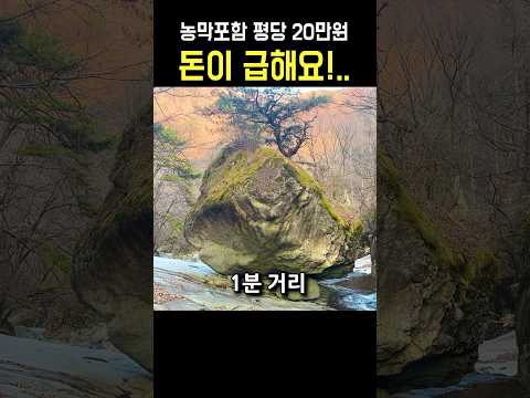 763평 계곡근접 평당 20만원