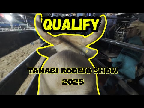 RESUMO DO QUALIFY TANABI RODEIO SHOW 2025 #vidarústica
