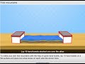 Formation and Characteristics of Fold Mountains