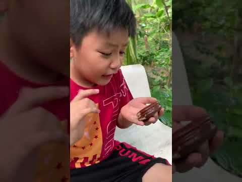 Funny Video #118  Tiết Kiệm Đồ Ăn Phong Cách Gen Z || NHH TV #shorts