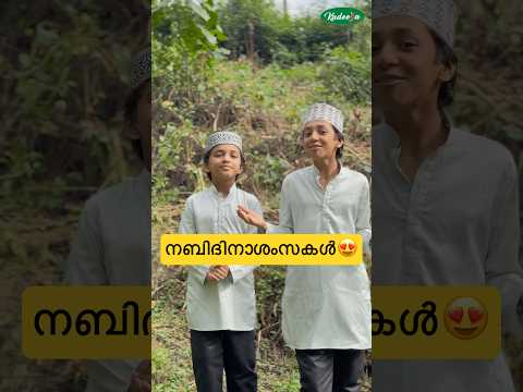 നബിദിനാശംസകൾ😍 #shorts #beef #curryrecipe #masala #mix #trending #viral