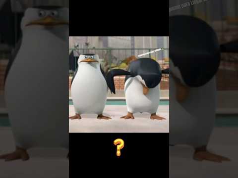 Los Pingüinos Saben Quién es La Hembra 👁️👄👁️ #shorts #memes