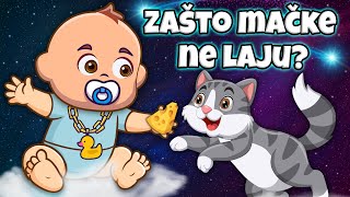 Zašto mačke ne laju? 🐱 Pesmica za decu o životinjama 🐰 Pesma o odrastanju 🌞