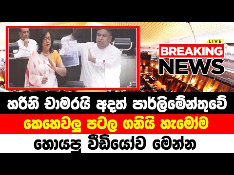 derana BREAKING NEWS |  here is special announcement  | Now Update Here is another special news ju