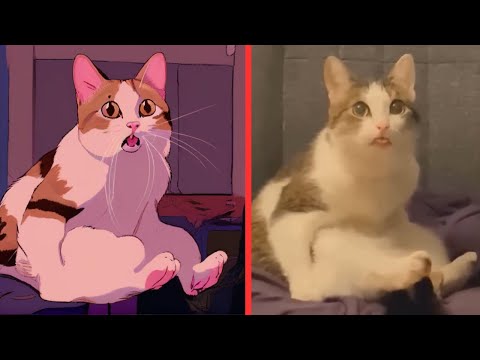 You Can't Stop Laughing💯🤣🤣Funniest Cats and Dogs🐱Funny Drawing Cat Memes🤣Funny Animals😂Loop Media