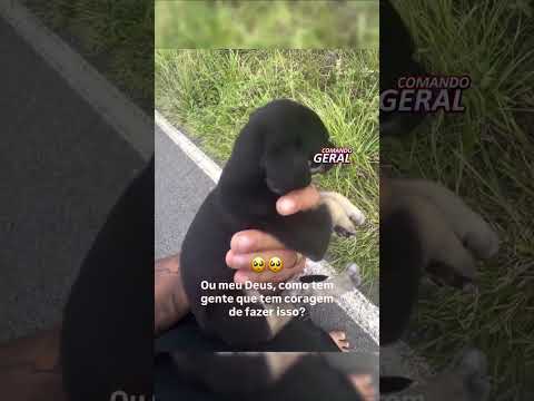 cantor Thiago salva filhote de cachorro