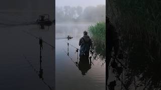 Angeln Karpfen am Morgen #fishing #pesca #outdoors #angler #nature #angeln #carpfishing #fish #carp