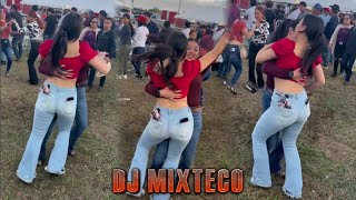 ASI SE BAILAN LOS HUAPANGUITOS EN MEXICO / Mix Huapangos 2023 | Dj Mixteco