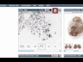 Gene Expression and Spinal Cord Analysis