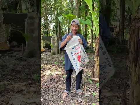 Kasian ayah ma aku arus bantu ayah cari duit untuk kita makan ma#shorts