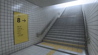 【羽喵實況】８番出口 #1