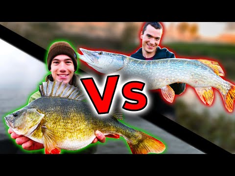 WHO is the best fisherman? Carl vs Alex Full Season 1