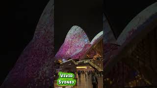 Vivid 2026 opening night