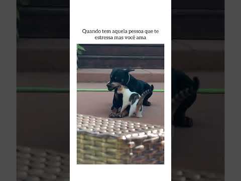 27 de fevereiro de 2026