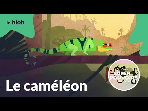 Le caméléon, le harpon gluant | Les super-pouvoirs du vivant