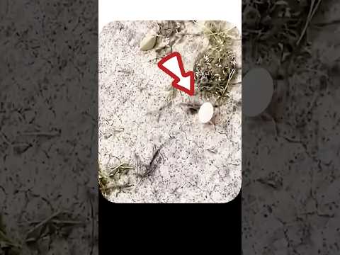 ? #داستان