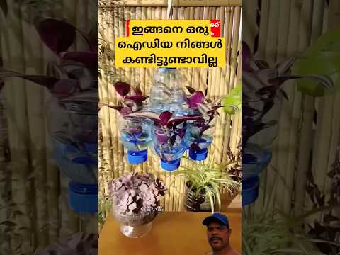 കുപ്പിയിൽ ചെടി 👌🏻👍🏻 #craft #creative #plants #satisfying #gardening #tools #home #homedecor #tips