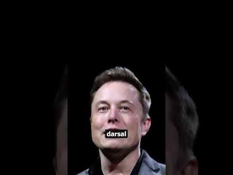 ELON MUSK'S NEW CRYPTO COIN!! #shorts #elonmusk