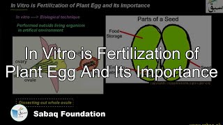 In Vitro is Fertilization of Plant Egg And Its Importance