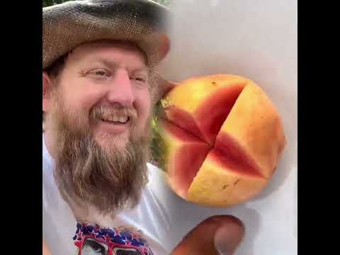 #greenscreen FLIPPIN ARKANSAS‼️#johnbranyan #standupcomedy #comedy #funny #flippinarkansas