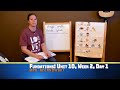 Tricky Words and Sounds Assessment
