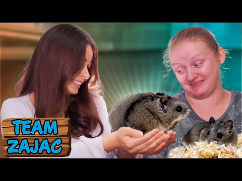 EIN HAMSTER DER AUF SEINEN NAMEN HÖREN KANN | Zoo Zajac