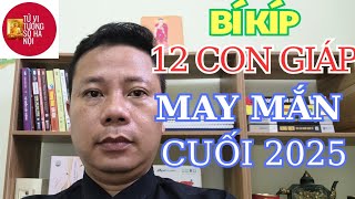 Bí kíp để  12 con giáp may mắn nửa cuối năm 2025 | Tử vi tướng số Hà Nội