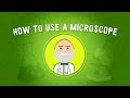 Exploring Microscope Techniques in STEM