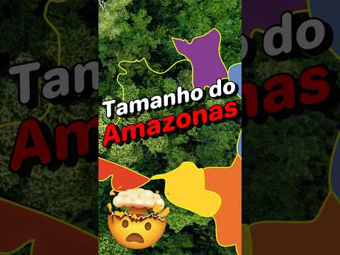 O SURPREENDENTE tamanho do Amazonas #amazonia #geografia #amazonas #brasil