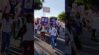 Marcha feminista del 8M en celaya